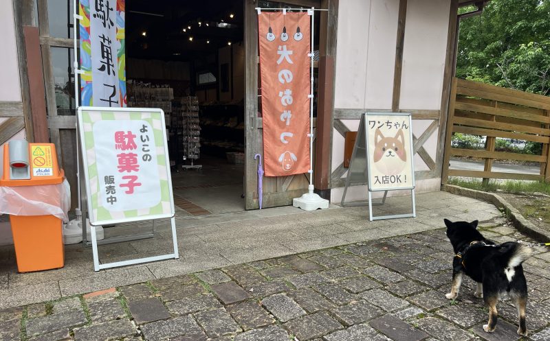 犬入店OKの看板がある店