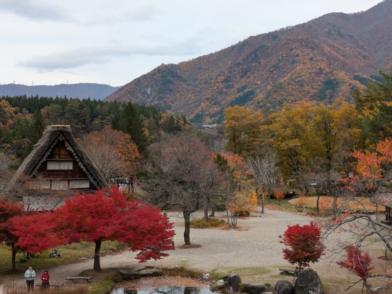 茅葺屋根の家