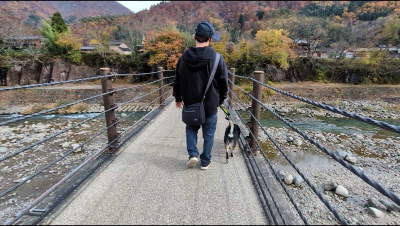 柴犬と散歩する男