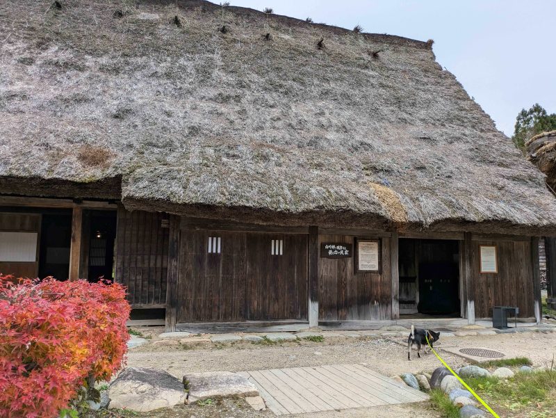 茅葺屋根の家